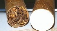 Можно ли курить сигариллы без фильтра