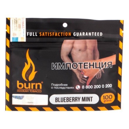 Табак Burn - Blueberry Mint (Черника с Мятой, 100 грамм)