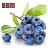 Табак Sebero - Blueberry (Черника, 25 грамм)