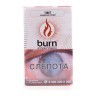 Изображение товара Табак Burn - Tibet (Индийские Специи, 100 грамм)