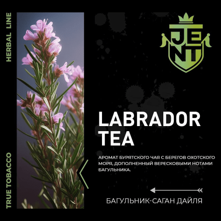 Табак Jent - Labrador Tea (Багульник и Саган Дайля, 100 грамм)